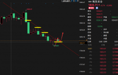 黄金期货短线策略（本人发布所有参考策略全部现价提示进场