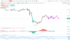 <b>大概率又要开启震荡行情模式了黄金期货现货价格分析</b>