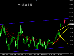 <b>石油期货怎么开户中期客观趋势方向为区间内向上</b>