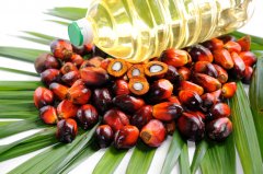 预计短期国内棕榈油走势偏强明天黄金期货行情