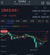 你关注金价波动吗？你想抄底黄金吗？期货黄金分割线