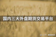 主要经营伦敦金、伦敦银、人民币公斤条等贵金属业务—mt4交易平台出