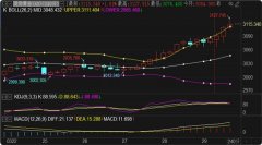 目标看3105和3095？看期货黄金股指的APP