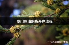 投资者在申请普通期货账户时没有资金门槛的要求？原油期货期权