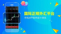 国内外汇平台排名其手机App支持MT4和MT5平台