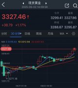 Menghani指出！贵金属外盘开户