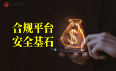 资金安全更有保障mt4复盘软件下载