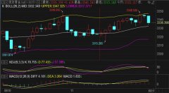 <b>黄金期货标准合约目前的震荡区间暂定1小时趋势线范围内运行</b>