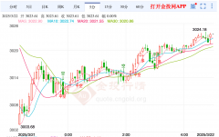 <b>不存在盈利性目的期货黄金开市时间</b>