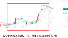 <b>白银：下方关注40.65美元或40.35美元支撑；上方关注41.25美元或41.45美元阻力；追</b>
