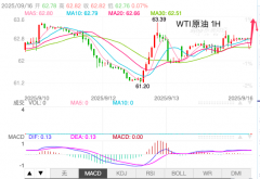 黄金期货每天看到的k线500)this.width=500align=centerhspace=10vspace=10rel=nofollow/