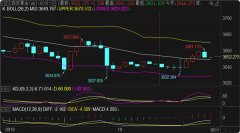 <b>手机黄金期货哪个软件好原油黄金短线黄金本周操作回顾及下周展望</b>