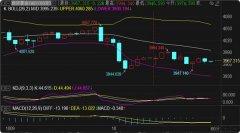黄金期货的基本特征今年进几个月的油价波动很小