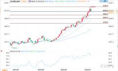 上海期货交易所有现货黄金吗在推动实现委员会的就业与通胀目标过程中